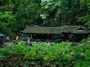 冬日暖阳，温泉润心，广州从化的冬日慢时光