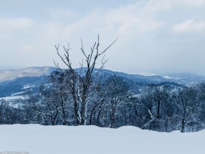 吉林5月，赴一场冰雪消融后的春日浪漫之约