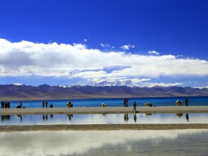 从山城到高原，重庆出发，奔赴一场青海湖的蓝色梦境
