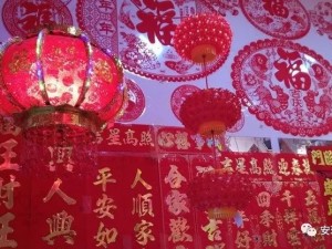 年味在旅途，新春别样红