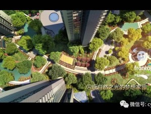 梦之城1960官网登录入口，穿越时光的数字门廊