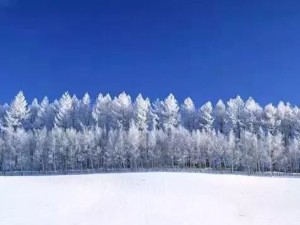 坝上春节，雪原牧歌里的年味新体验