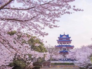 四月春风暖，江城景正好，武汉春日必打卡景点指南