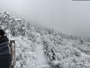 峨眉山乐山冬日行，佛国圣境的雪与暖