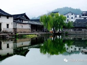 江南春深，樱落绍兴——一场与水乡的诗意邂逅