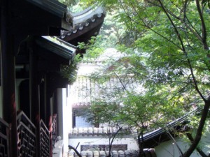 福建3月旅游攻略，邂逅山海间的春天，不负春光不负卿