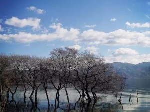 从酒城到风花雪月，泸州至大理自驾攻略，一路向南奔赴诗与远方