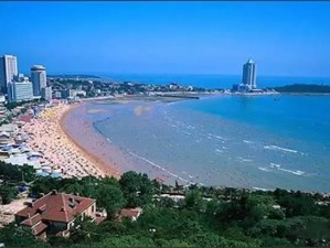 三城记，青岛的海风、南京的梧桐、苏州的流水