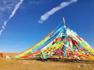2月，赴一场澳大利亚的夏日狂欢与自然奇遇