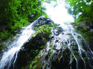 安吉天荒坪水库，藏于竹海深处的碧玉明珠，邀你共赴一场山水之约