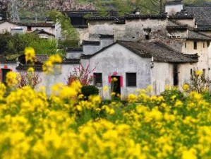 婺源二月，徽墙黛瓦吻春信，油菜花先染江南诗