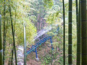 安吉自助游攻略，邂逅竹海茶韵，畅享山水野趣