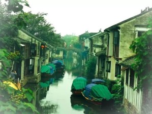 古古劳水乡，岭南水乡的诗意栖居与慢时光之旅