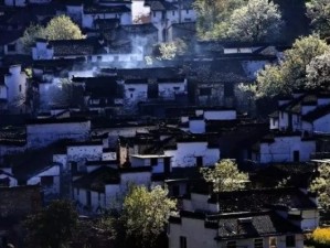 从北京到婺源，2015年，一场与春天的金色邂逅