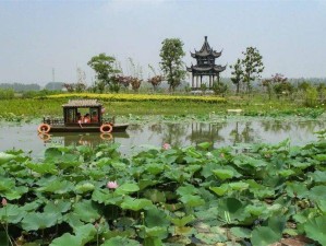 泰来县旅游，邂逅北国湿地的诗意与风情