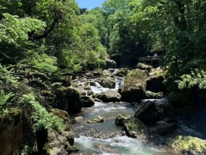 探秘黔江坪坝营，原始森林里的天然氧吧与秘境之旅