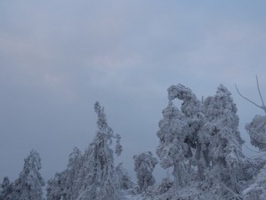 衡山冬日，雪舞南岳，禅意悠然