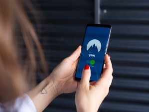 热度软件下载安装全攻略，安全、高效获取热门应用