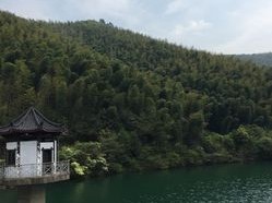 上海周边三天游，从水墨古镇到竹海山居，治愈周末时光