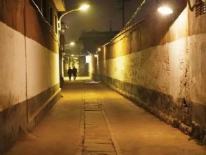 夜深了，老城区的巷子里只剩下一盏昏黄的路灯还亮着。灯下是一张折叠方桌，四把塑料椅，一壶泡得发苦的浓茶。四个人围坐着，指尖摩挲着温热的牌面，一场属于普通人的战争悄然开场