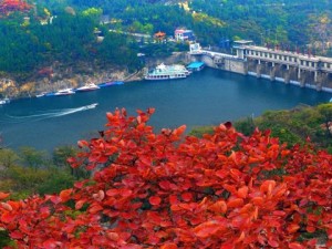 从郑州出发，赴一场重渡沟的山水与竹影之约