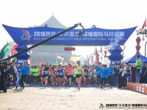 贵州体育在线官直播，黔山体育的云端舞台，点燃全民运动激情