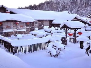从花城到雪国，广州人奔赴东北雪乡的冰雪奇缘