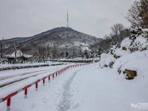 从江南烟雨到北国雪乡，一场跨越3000公里的双向奔赴