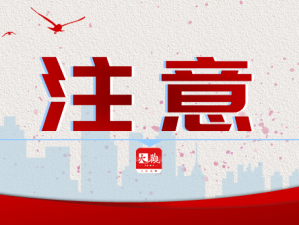 国内外疫情最新数据动态，全球态势与防控进展