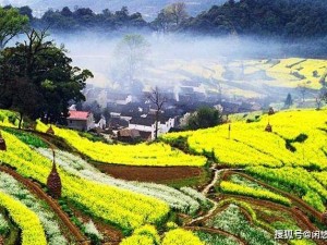 旬邑周边，在红色热土与山水画卷中，邂逅陕北风情的多面魅力