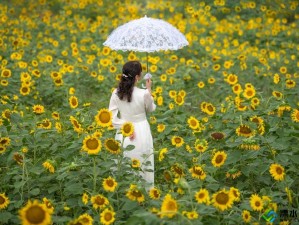 冬节赴云南，在暖阳与花海里，邂逅一场反季的诗意