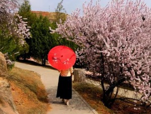 三月春正好，赴一场暖阳与花海的邀约