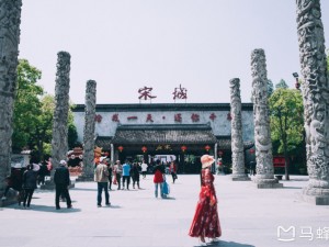从杭州出发，赴一场宁波普陀山的山海禅缘