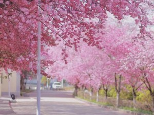 3月四川，春暖花开，邂逅山水间的诗与远方