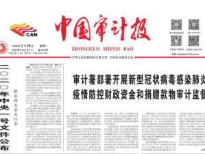 岁末回望，疫情下的年终答卷与前行微光