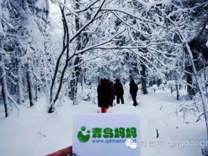 雪原上的年味儿，春节赴内蒙古，邂逅一场温暖的草原狂欢