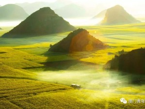 车轮上的罗平，从攀枝花出发，赴一场金色花海与喀斯特秘境之约