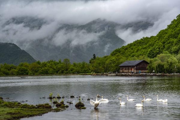 大九湖，神农架深处的高山湿地诗画，每一帧都是治愈风景