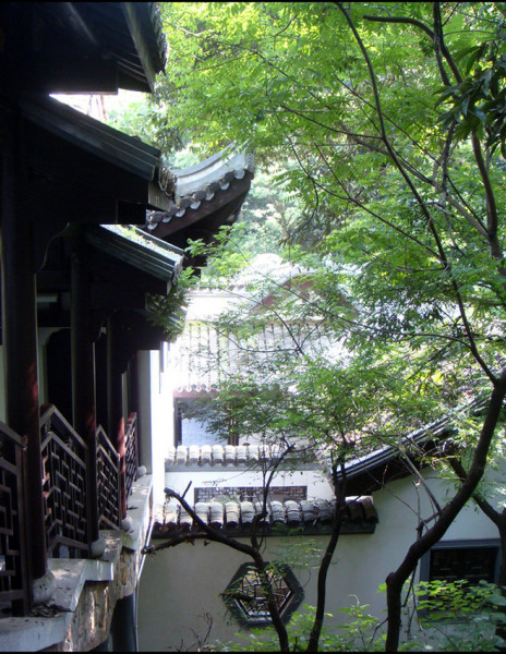 福建3月旅游攻略，邂逅山海间的春天，不负春光不负卿