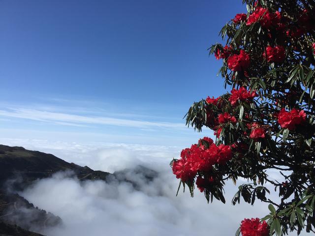 五月吉林，春日限定的北国诗画，从雪山花海到舌尖鲜香