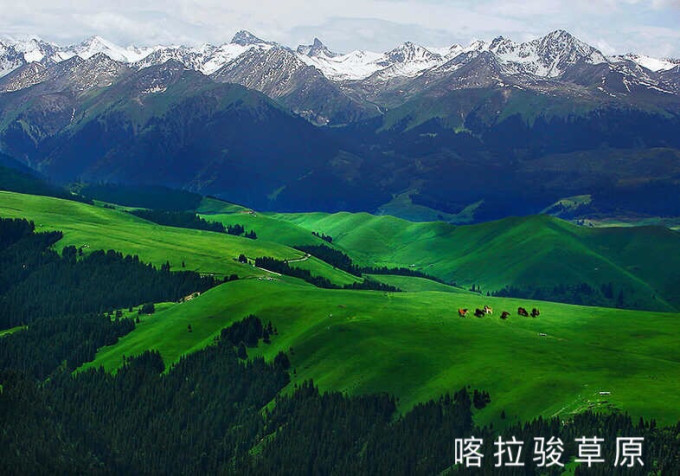 伊犁，新疆的塞外江南，一场穿越四季的诗意之旅